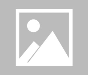 NG体育-【夜读】门迪强奸案新剧情，格里利什当晚也在场